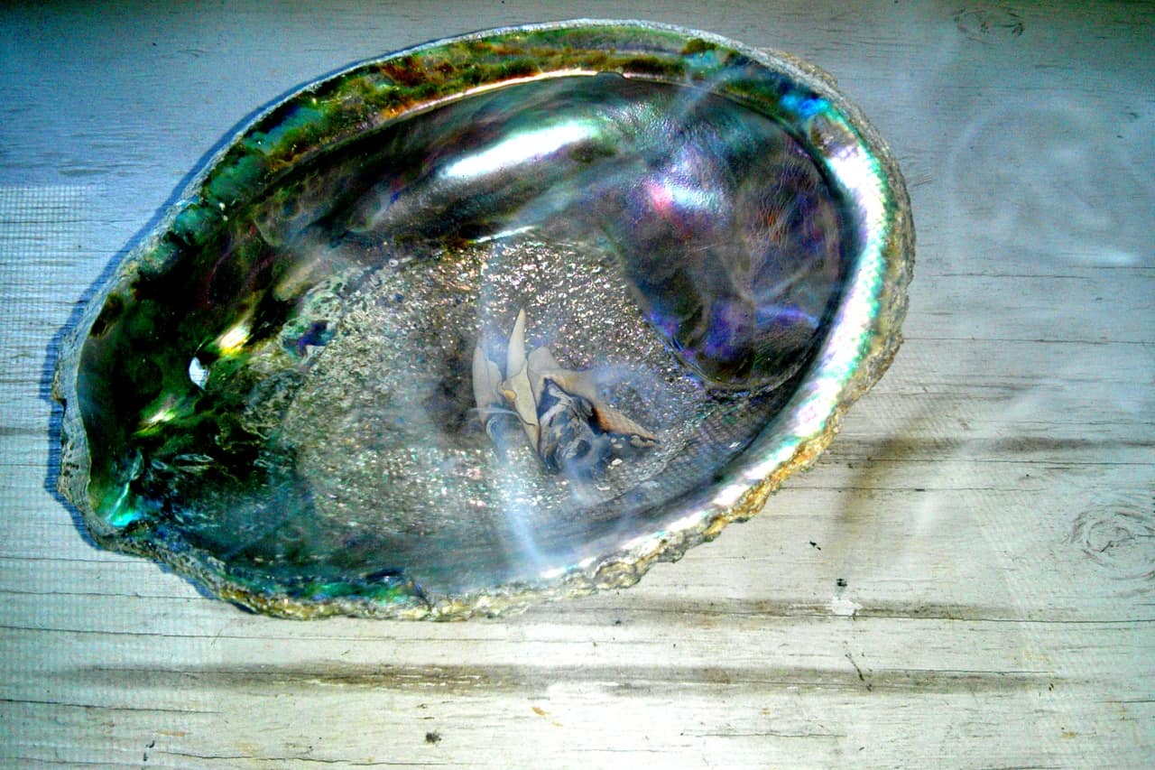 White Sage Burning In Shell White Sage Burning In Shell